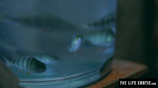 Puffy nippled beauty masturbates hard with honey and a cucumber